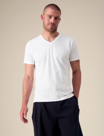 Herren T-Shirt mit V-Ausschnitt Stanley Presenter